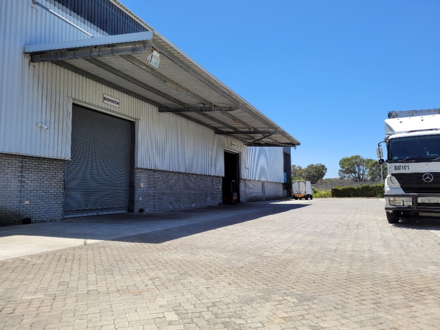 To Let commercial Property for Rent in Montague Gardens Western Cape